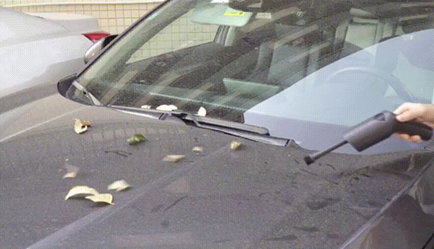 8ce0f7b743a15c7851107136a1d86b2a_1758846974_9135.gif